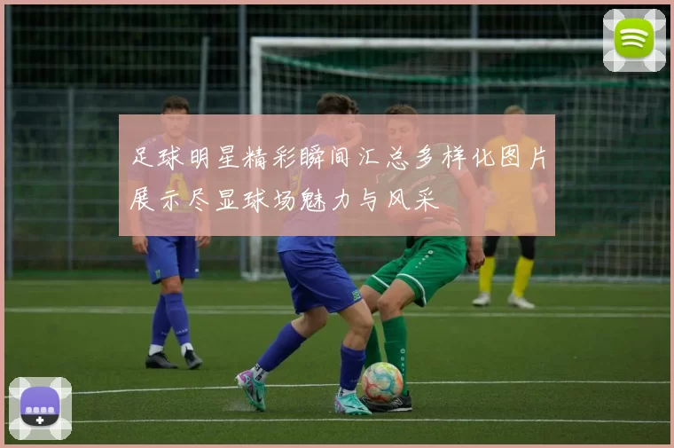 足球明星精彩瞬间汇总多样化图片展示尽显球场魅力与风采