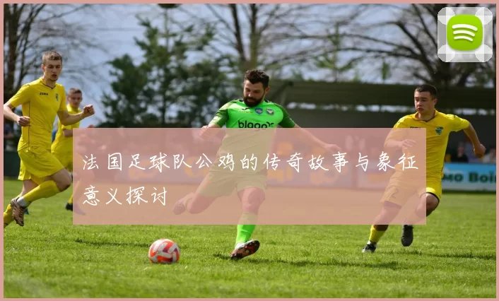 法国足球队公鸡的传奇故事与象征意义探讨